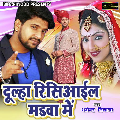 Dharmender Dewana Songs MP3 Download